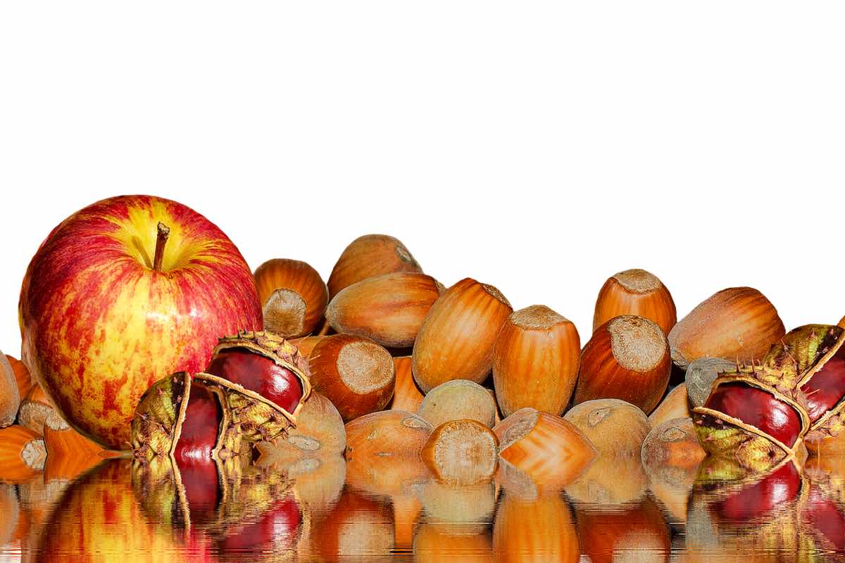 Castagne e Halloween: come trasformare i tuoi snack in delizie spettrali